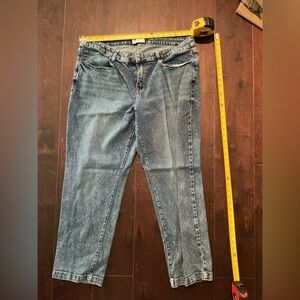 Lane Bryant Blue Skinny Jeans